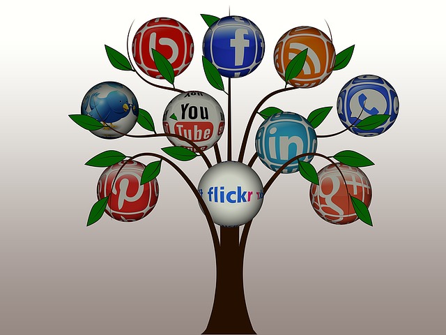 Réseaux sociaux arbre