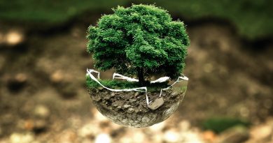 Prtiection de la nature et symbole de l'écologie