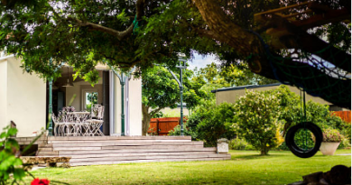 extérieur de maison arbres pelouse balançoire pneu