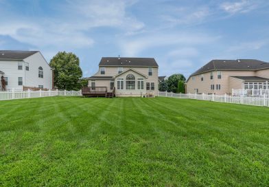 Comment rendre son jardin plus vert ?