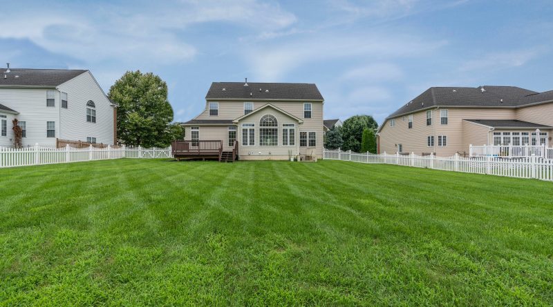 Comment rendre son jardin plus vert ?