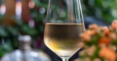 meilleur vin Bourgogne